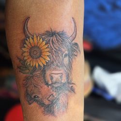 The Constable Tattoo Parlor - Highland cows. Tattoo artist was Phil.