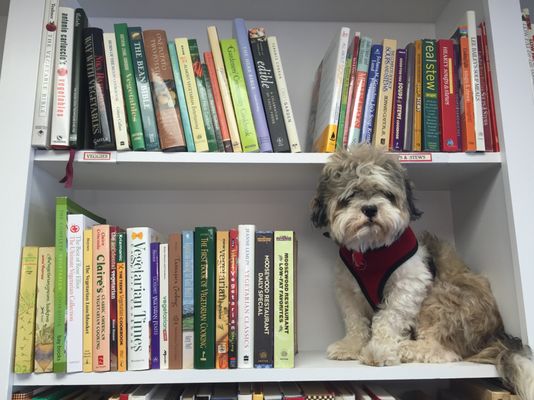 Creative Corner Books by null