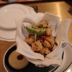 The Ivy - Squid