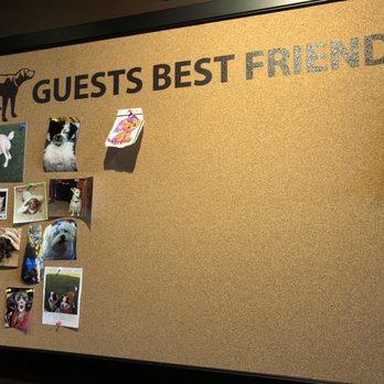Double Dogs - Guest's Best Friends - Sports Bars Near Me - Lexington, Kentucky Double Dogs - Guest's Best Friends - Sports Bars Near Me - Lexington, Kentucky