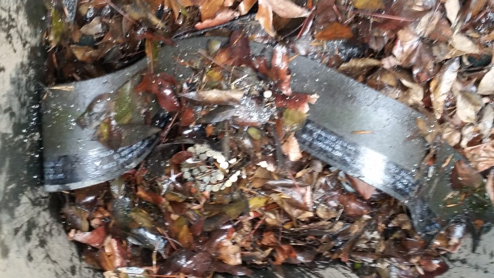 Slide of Kelly Roofing