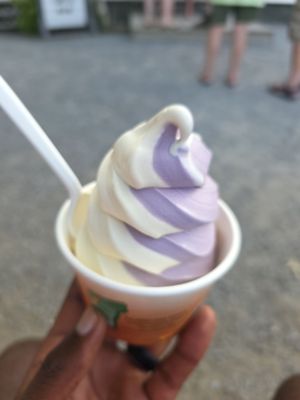 Palmer Lane Maple by null