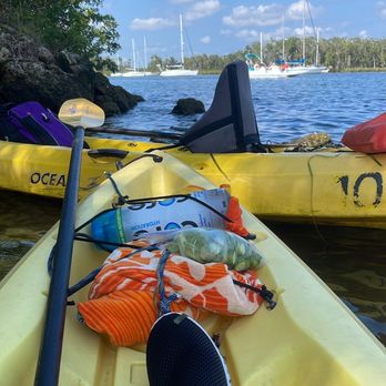 Crystal River Kayak Company - Rafting/Kayaking Near Me - Crystal River, Florida