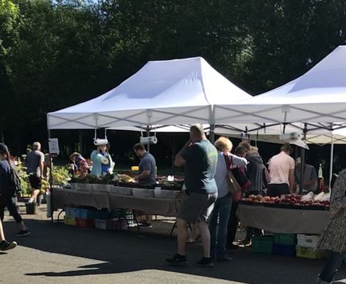 Issaquah Farmers Market by null