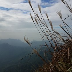 鳳凰山