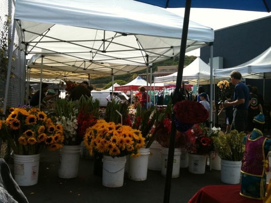 La Jolla Open Aire Farmers Market by null