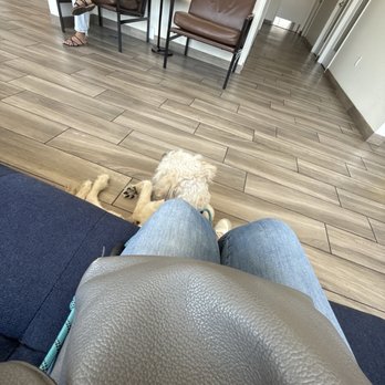 TrueCare for pets - Veterinarians Near Me - Studio City, California