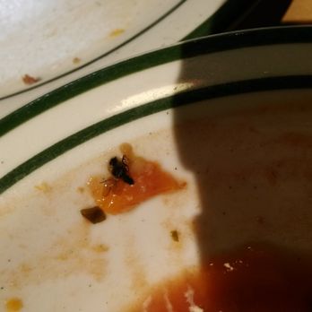 NORMS - You decide what this is to be. - Diners Near Me - Van Nuys, California