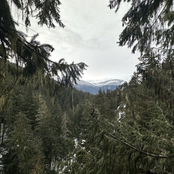 Ziptrek Ecotours - Tours Near Me - Whistler, British Columbia Ziptrek Ecotours - Tours Near Me - Whistler, British Columbia