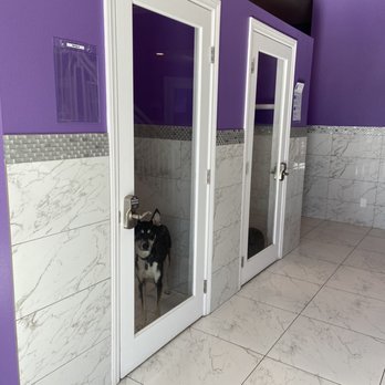 LV Dog Resort II - Pet Boarding Near Me - Las Vegas, Nevada LV Dog Resort II - Pet Boarding Near Me - Las Vegas, Nevada