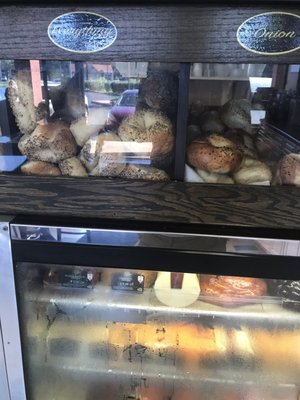 Tommy's Bagels by null