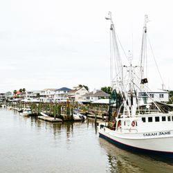 Briny Swine Smokehouse & Oyster Bar
