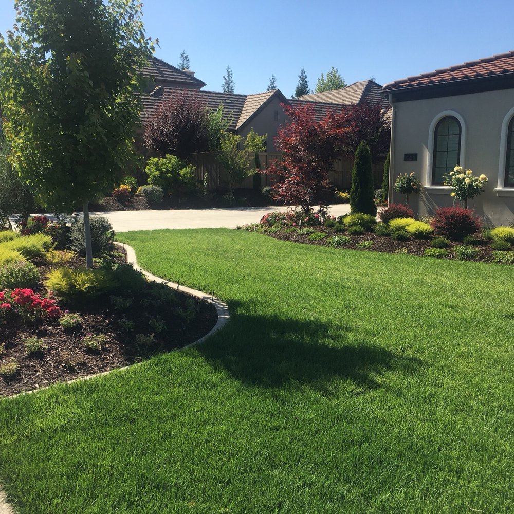 Olympus Pointe Landscape - Landscaping Near Me - Roseville, California Olympus Pointe Landscape - Landscaping Near Me - Roseville, California