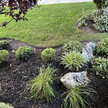 Sunrise Dental Associates - Plants - General Dentistry Near Me - Massapequa, New York Sunrise Dental Associates - Plants - General Dentistry Near Me - Massapequa, New York