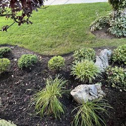 Sunrise Dental Associates - Plants