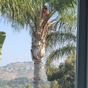 Pro Select Construction Services  - Before being skinned - General Contractors Near Me - Escondido, California