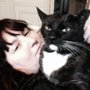 Photo of Pets Rawk!