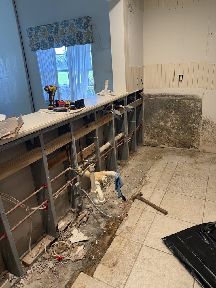 Lotus Mold Consulting - mold inspector in Naples, FL