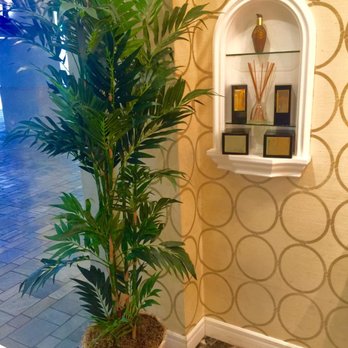 Tresor Rare - Skin Care Near Me - Honolulu, Hawaii Tresor Rare - Skin Care Near Me - Honolulu, Hawaii