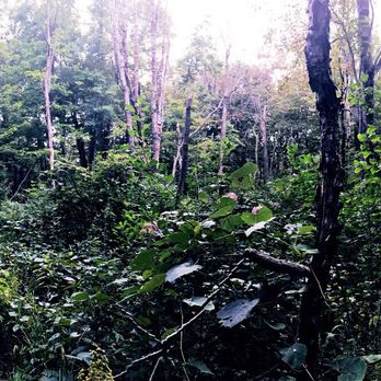 Dunewood Camp Ground - Campgrounds Near Me