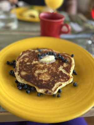 Acacia House by null