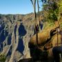 Photo of Ikaika's Shuttle Service