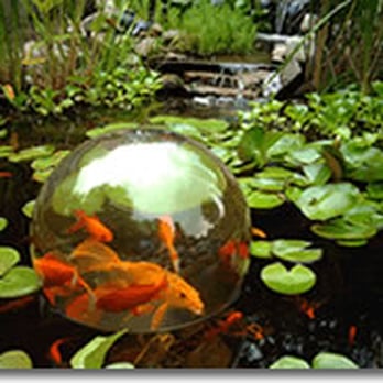 New England Koi - Local Fish Stores Near Me - Worcester, Massachusetts