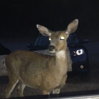 Washington Park - Beware if you leave after sunset - Parks Near Me - Anacortes, Washington