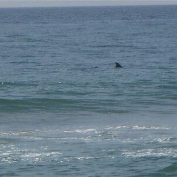Point Dume State Beach - Beaches Near Me - Malibu, California Point Dume State Beach - Beaches Near Me - Malibu, California