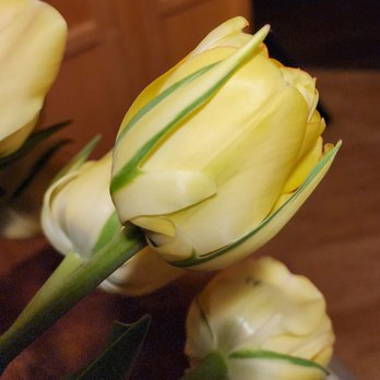Apple Core Farm & Cut Flowers - Floral Designers Near Me - Hood River, Oregon