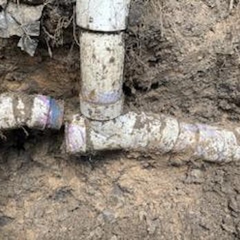 Pets Plumbing - Plumbing Near Me - Katy, Texas