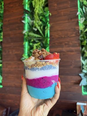 Amazonia Bowl by null