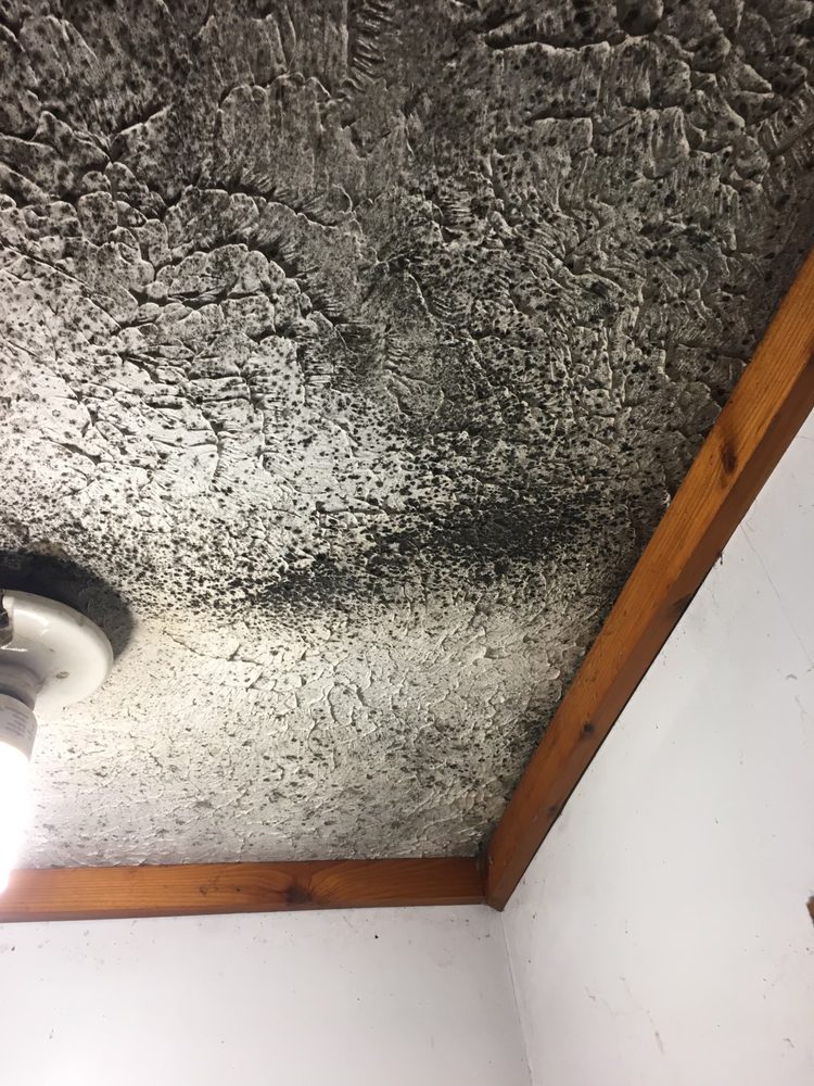 Superior Fire Flood & Mold - mold inspector in Superior, MT