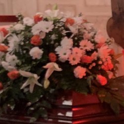 Floral Xpressions