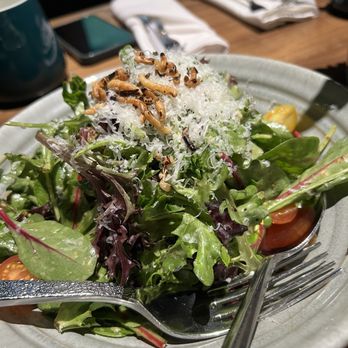 Star Leaf - Crying tiger salad - Asian Fusion Near Me - Pasadena, California