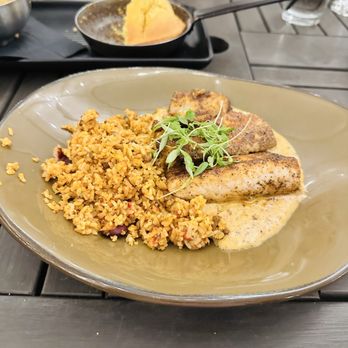 Zeke's Restaurant - Blackened Cobia - Salad Near Me - Orange Beach, Alabama Zeke's Restaurant - Blackened Cobia - Salad Near Me - Orange Beach, Alabama
