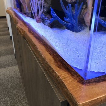 Neptune Aquarium Design - The live edge that walnut wood that the tank fits into - Aquarium Services Near Me - Rancho Cordova, California