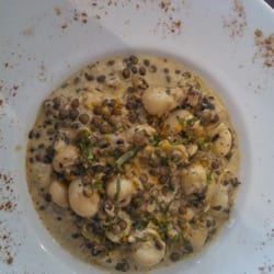 L'Epicéa - Supions et lentilles