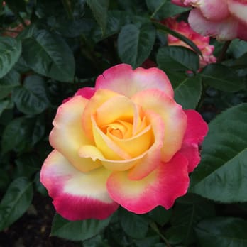 Chicago Botanic Garden - Botanical Gardens Near Me - Glencoe, Illinois
