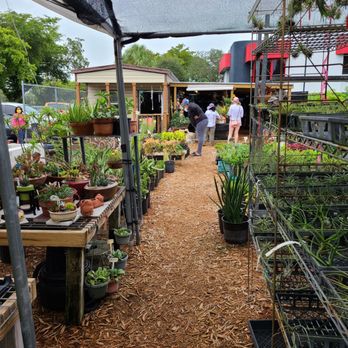 Tropic Plants - Nurseries & Gardening Near Me - Tamarac, Florida