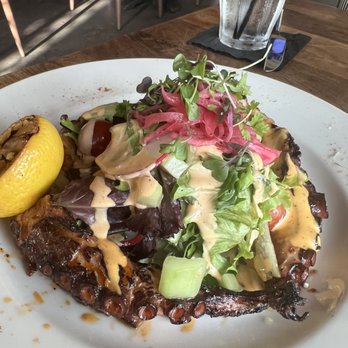 Sol Agave - Octopus! - New Mexican Cuisine Near Me - Santa Monica, California Sol Agave - Octopus! - New Mexican Cuisine Near Me - Santa Monica, California