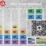 Gracie Barra