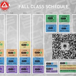 Gracie Barra - Current schedule