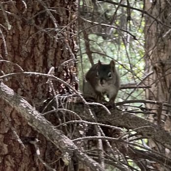 The Hunter Creek Trail - Hello There! (07/07/25) - Hiking Near Me The Hunter Creek Trail - Hello There! (07/07/25) - Hiking Near Me