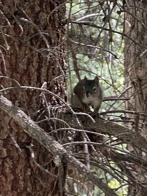Hunter Creek Trail Head by null
