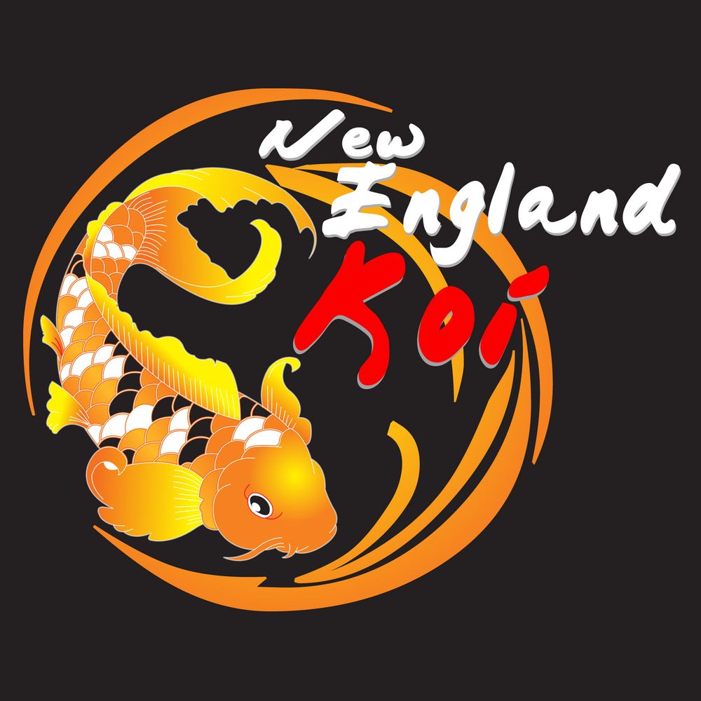 New England Koi - koi in Worcester, MA