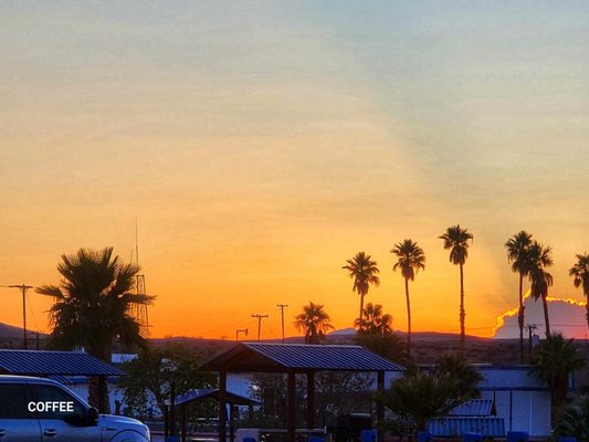 Temple Bar Marina by null