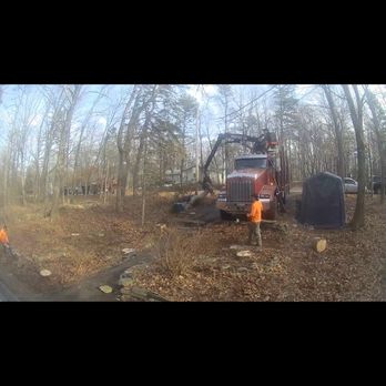 Blue Ridge Tree Services - Tree Services Near Me - Dingmans Ferry, Pennsylvania Blue Ridge Tree Services - Tree Services Near Me - Dingmans Ferry, Pennsylvania
