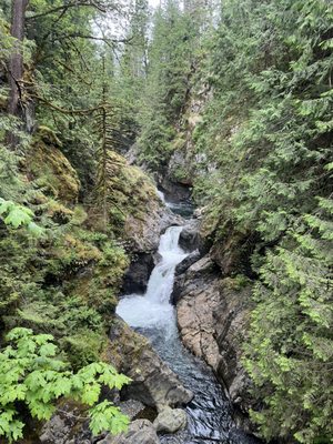 Twin Falls Natural Area by null
