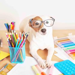 Dog Training Elite of West Atlanta - Time for class, and Homework to Master our Obedience